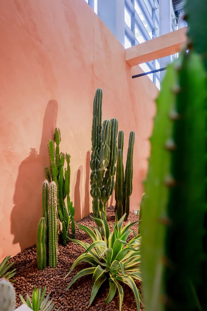 重返自然 寻找心灵的那片绿洲-57