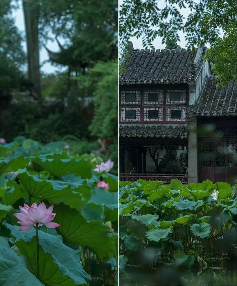 苏州园林丨中国苏州-0