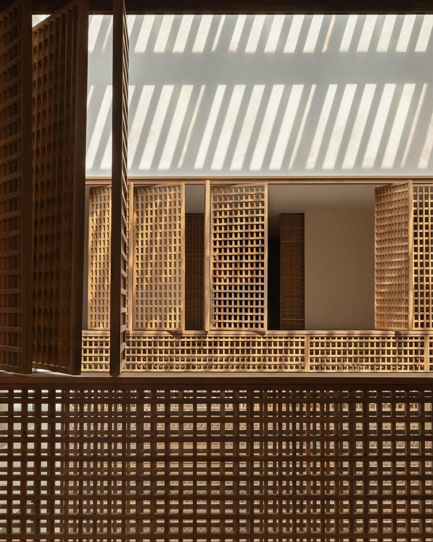 自然中的静谧沉思-62