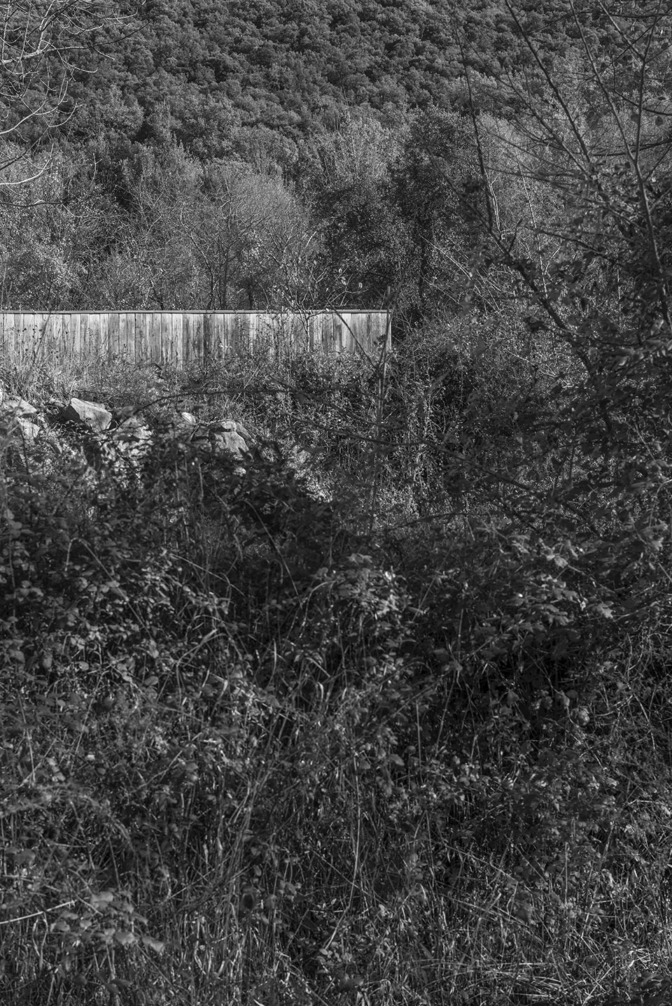 山林农场住宅，西班牙 / Montserrat Nogués-43