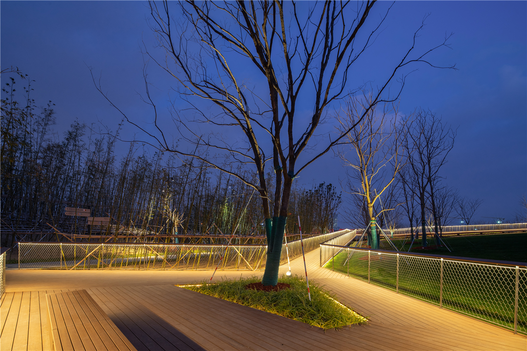 境誉|点亮“优异之光”！上海世博文化公园景观照明荣膺2025年第十届亚洲照明设计奖-174