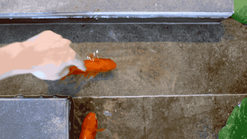 他在20楼挖池塘、造园子丨把家改成空中花园-28