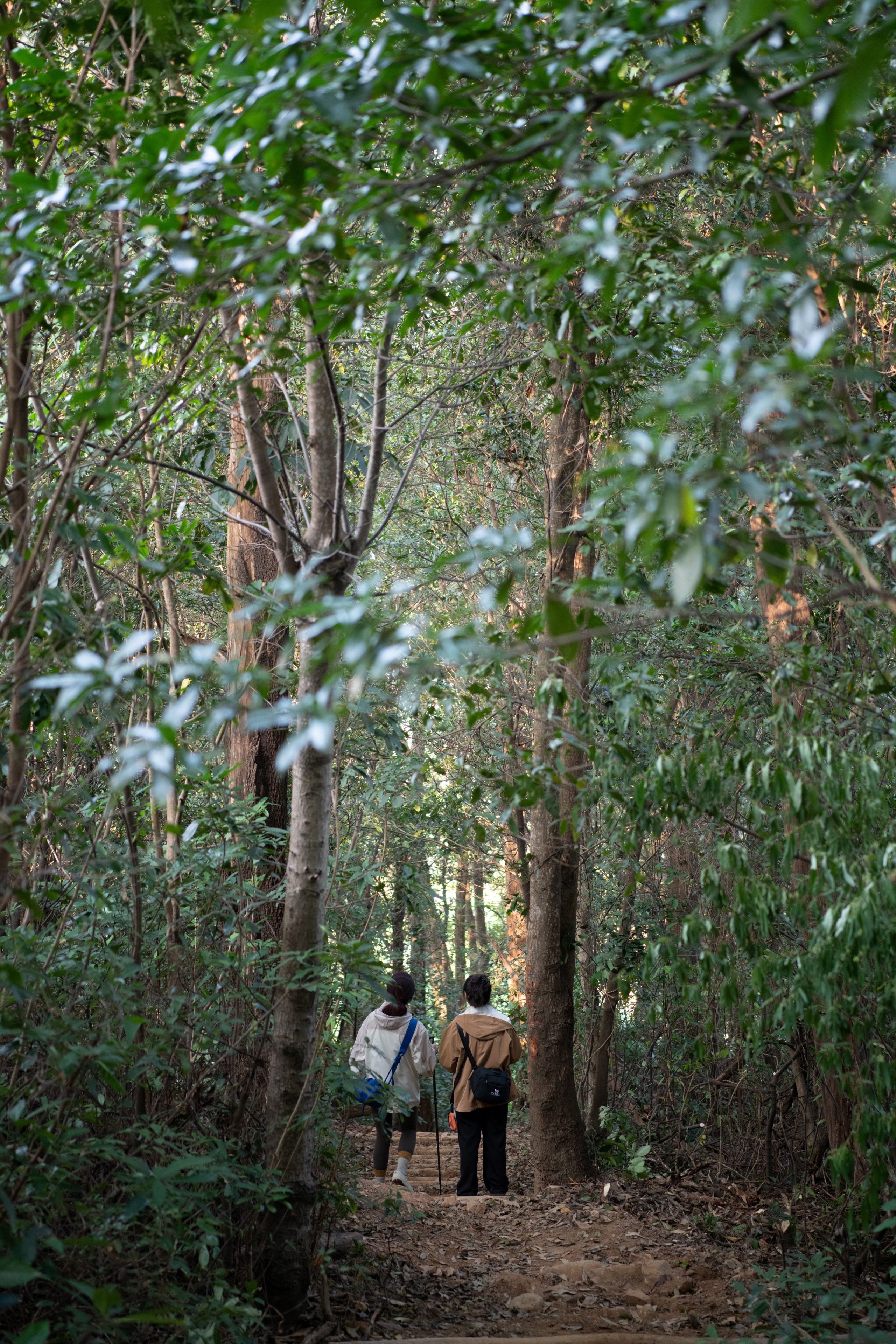 深圳市罗湖区东湖公园郊野径 – 莲塘口岸线丨中国深圳丨深圳市未名设计顾问有限公司 （WMLA）-4