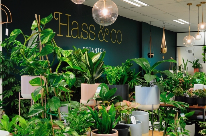 Hass & Co Botanics 店-24