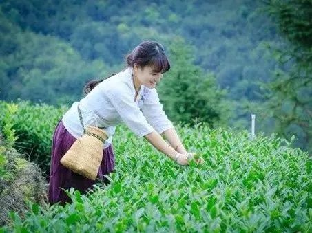 野奢秘境，探寻春日浪漫-200