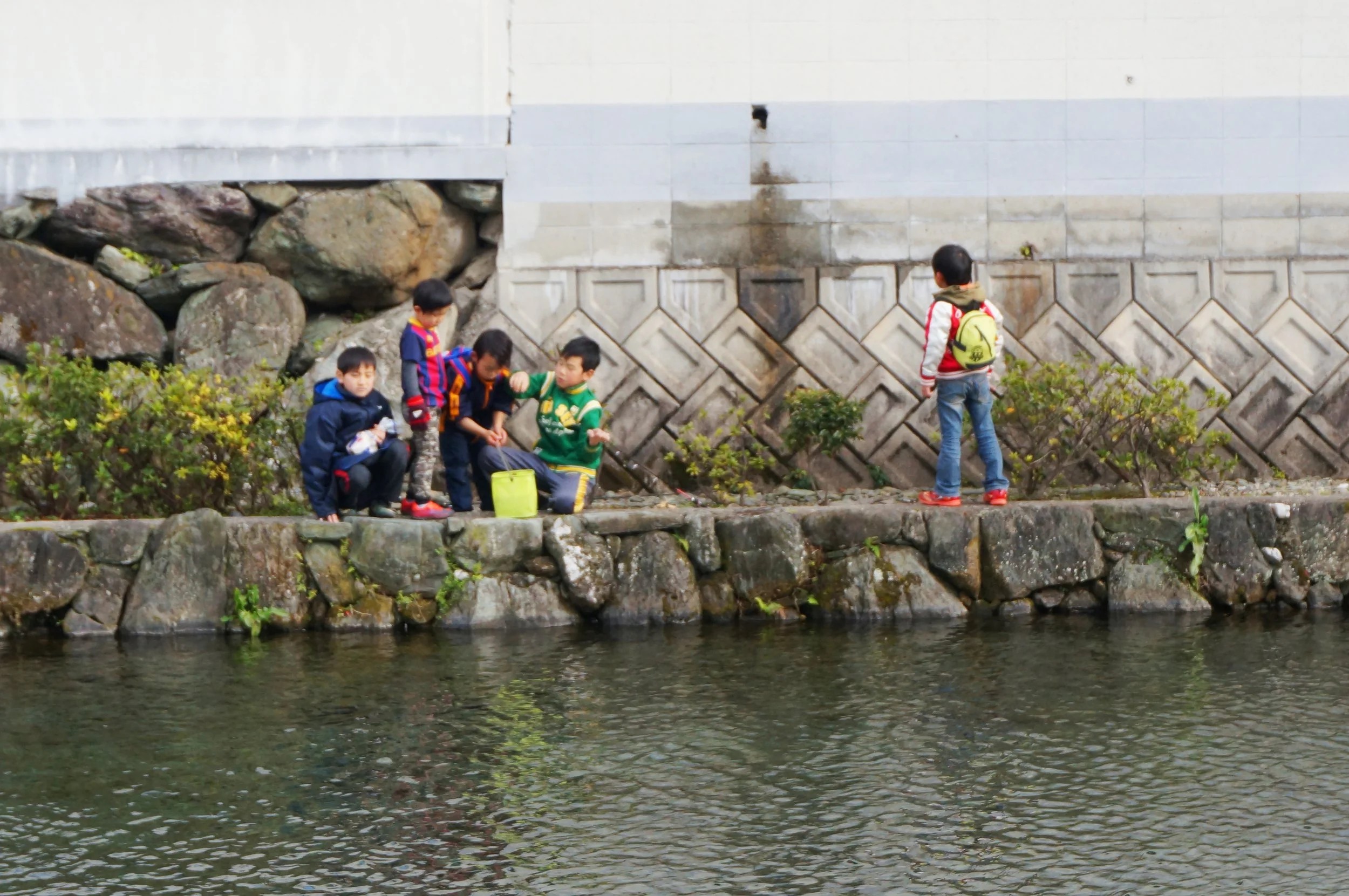 mizuniwa（御手洗龍建築設計事務所项目）丨日本爱媛丨御手洗龍建筑设计事务所（Ryu Mitarai & A.A.）-14