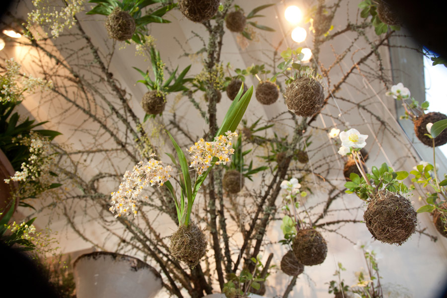 Fedor Van der Valk 打造室内绿洲 · 创意日本园林风格-31