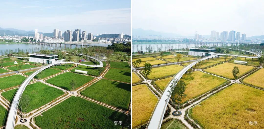 兰溪金角滩公园丨中国浙江-21