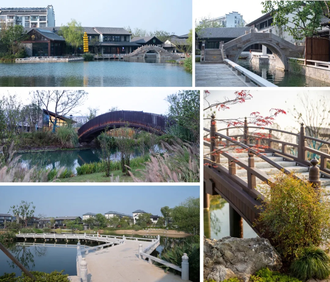 南京固城湾景区丨中国南京丨GTS蓝颂设计,GTE绿城环境-93