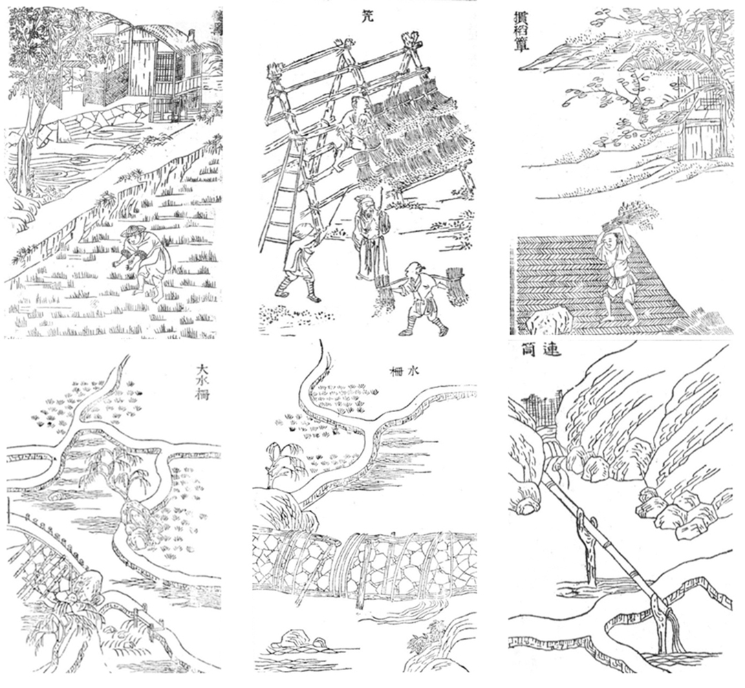 深圳天际农场 · 农民智慧融入城市更新-41