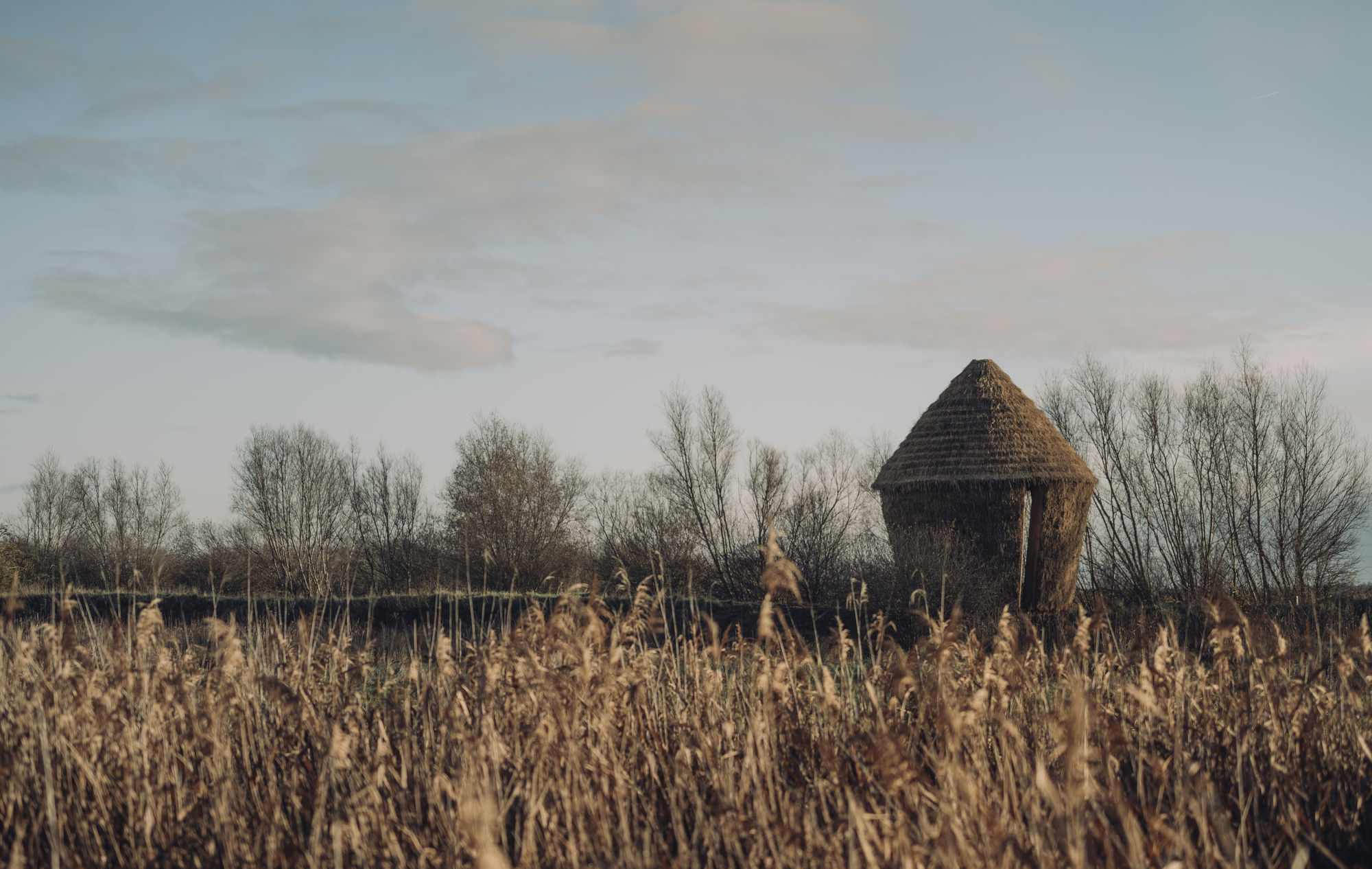 Mother Pavilion / Studio Morison-18