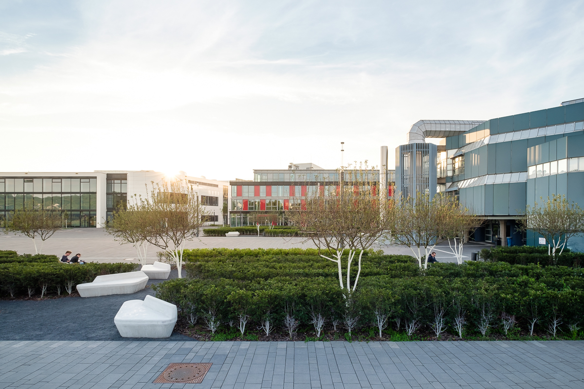 德国波恩大学校园-11