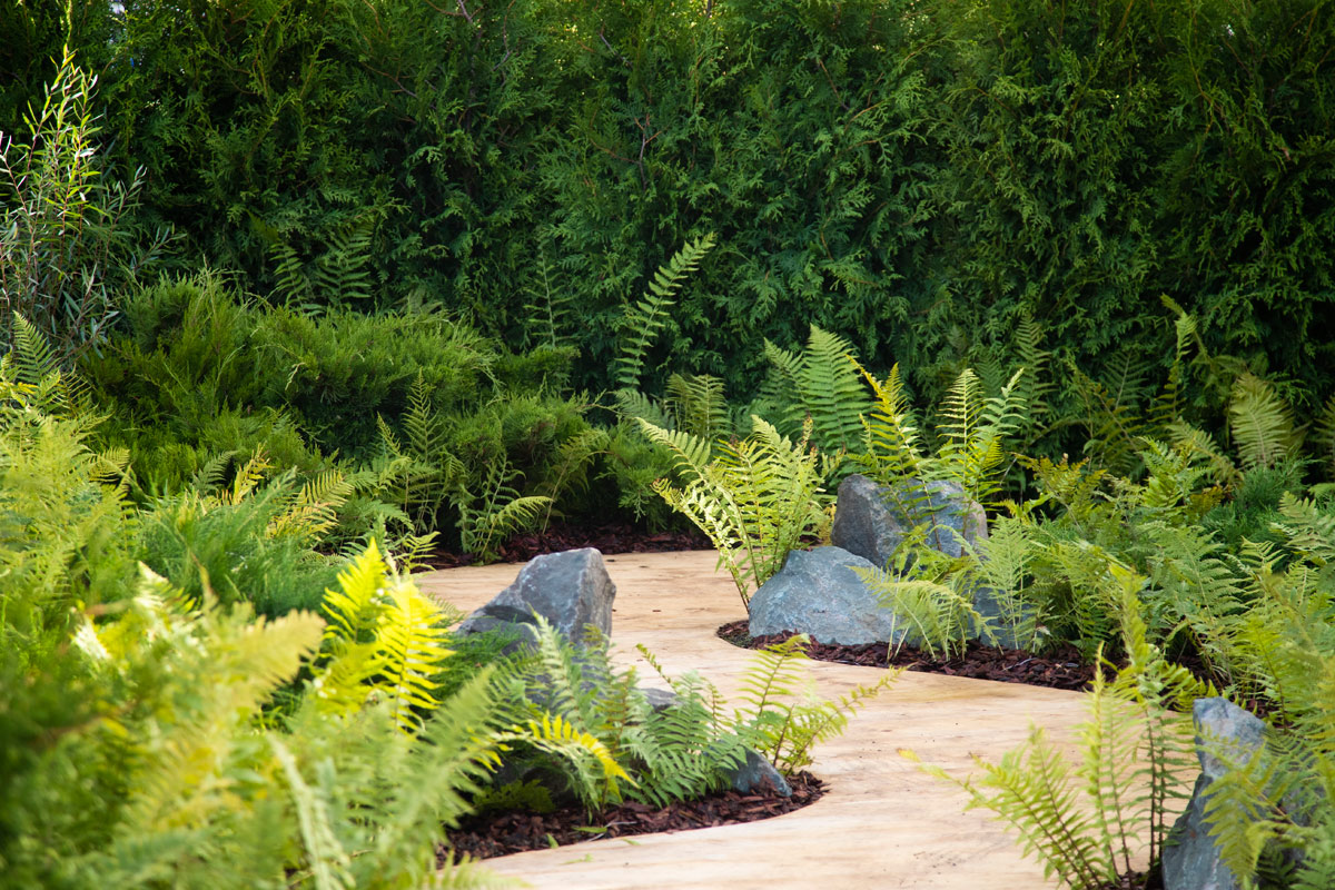 IV 音乐节历史花园,公园景观修复及发展项目丨俄罗斯莫斯科-16