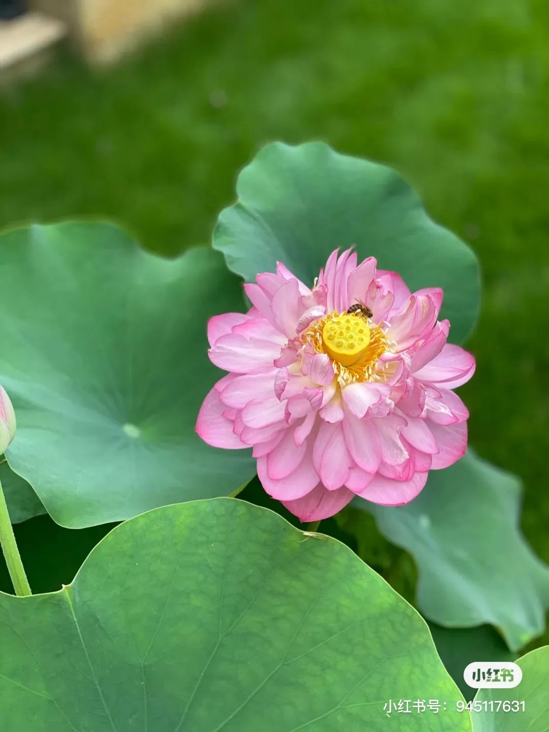 微物之光 · 成都 650㎡自然美学别墅设计丨中国成都丨STUDIO.Y 室内设计事务所-55