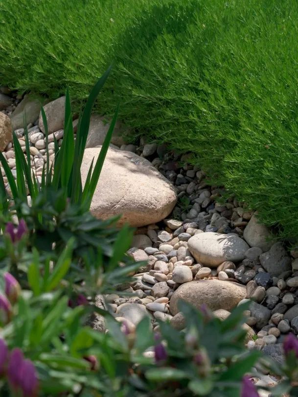 义乌壹号院丨中国金华丨澳洲艺普得(IPD),杭州普天-116