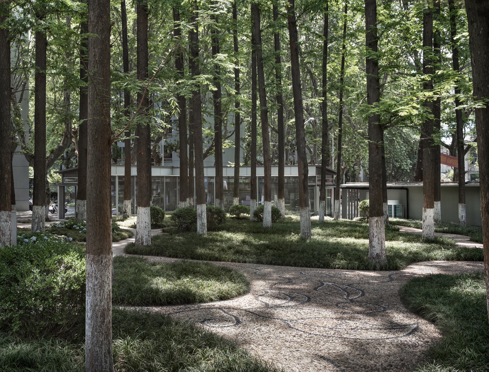 南京大学南园景观亭丨中国南京丨南京大学建筑规划设计研究院有限公司间架工作室-48