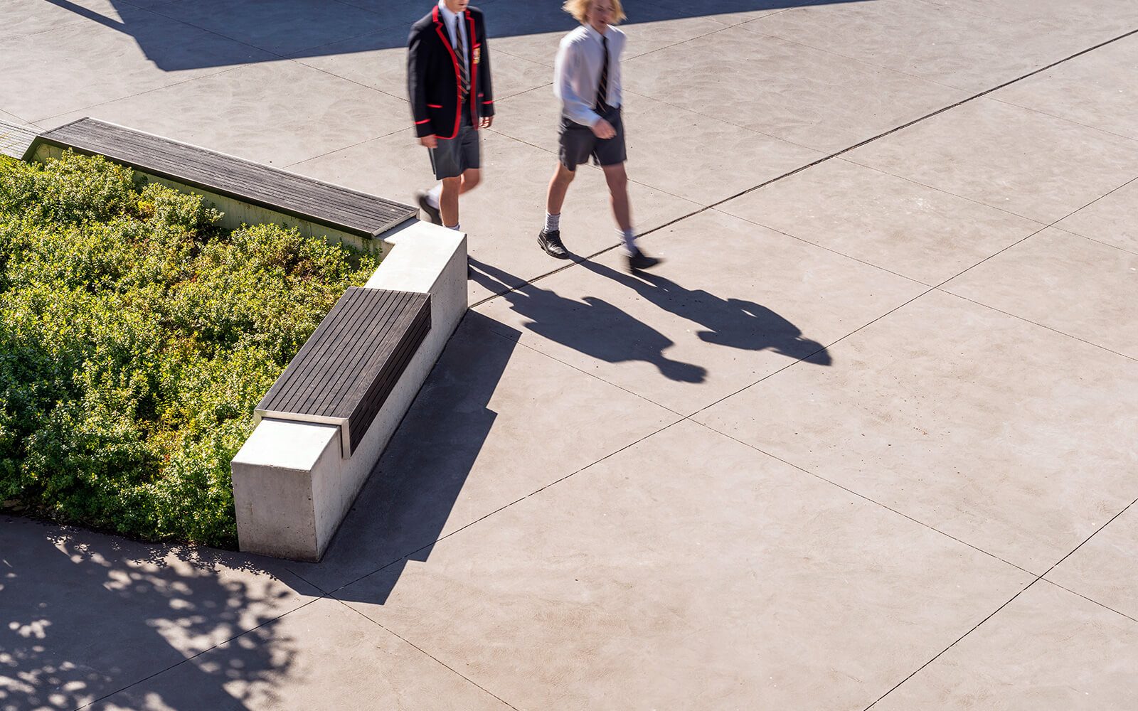 Ballarat Clarendon College校园景观项目-9