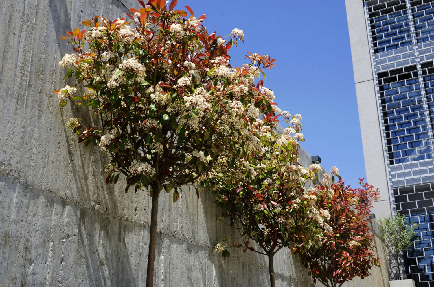 希腊雅典 Diopter 住宅-46