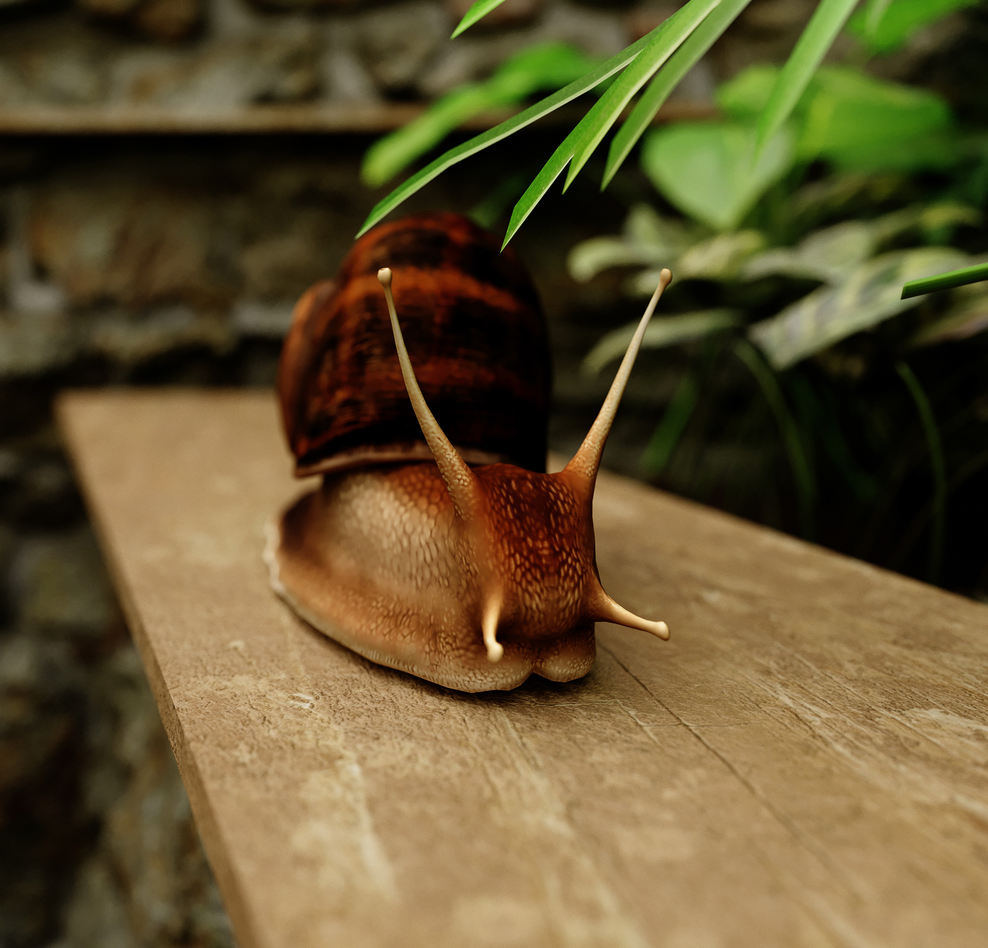 日式别墅景观丨沙特阿拉伯-13