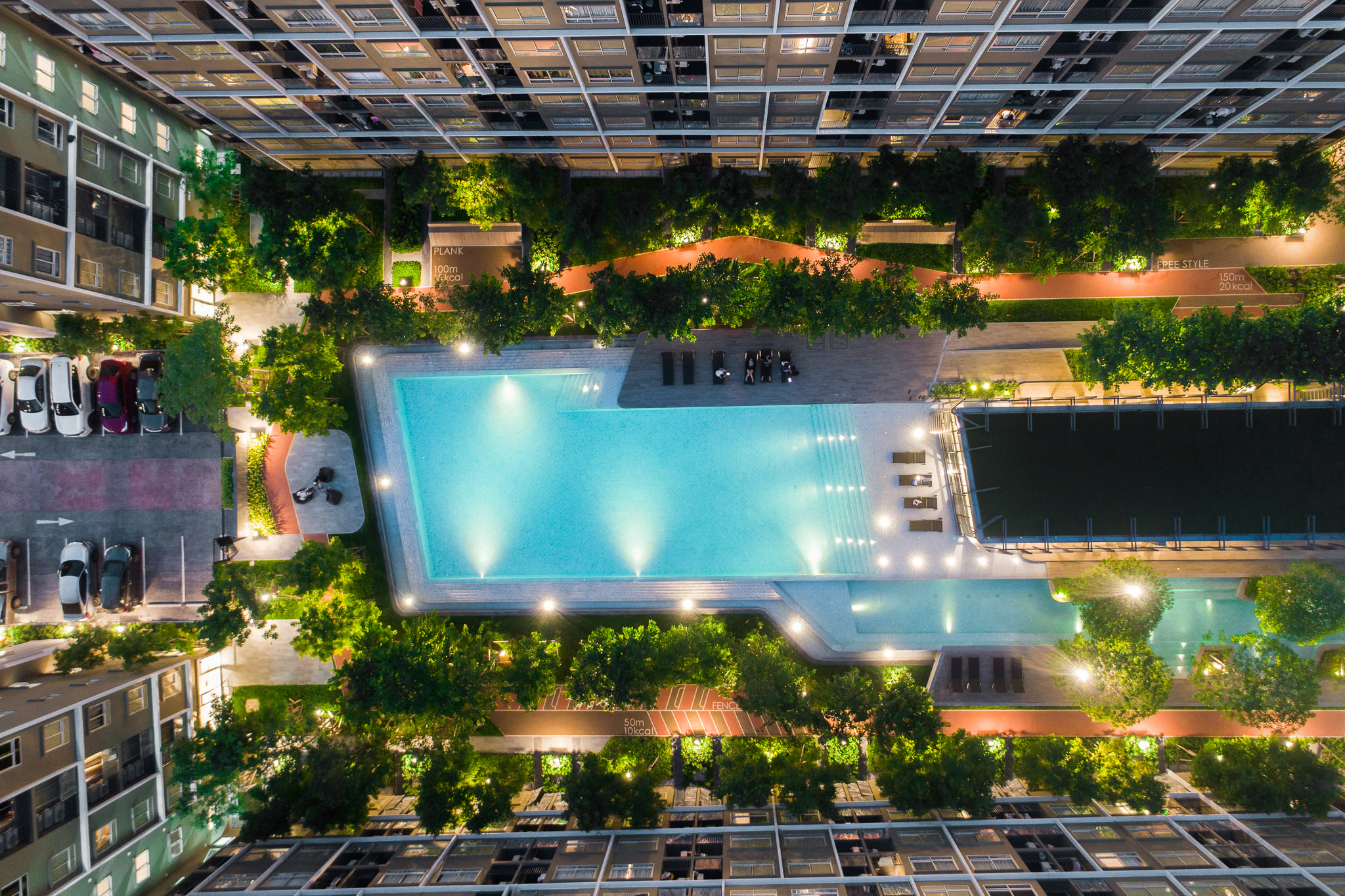 活力大区(Plum Alive)-44