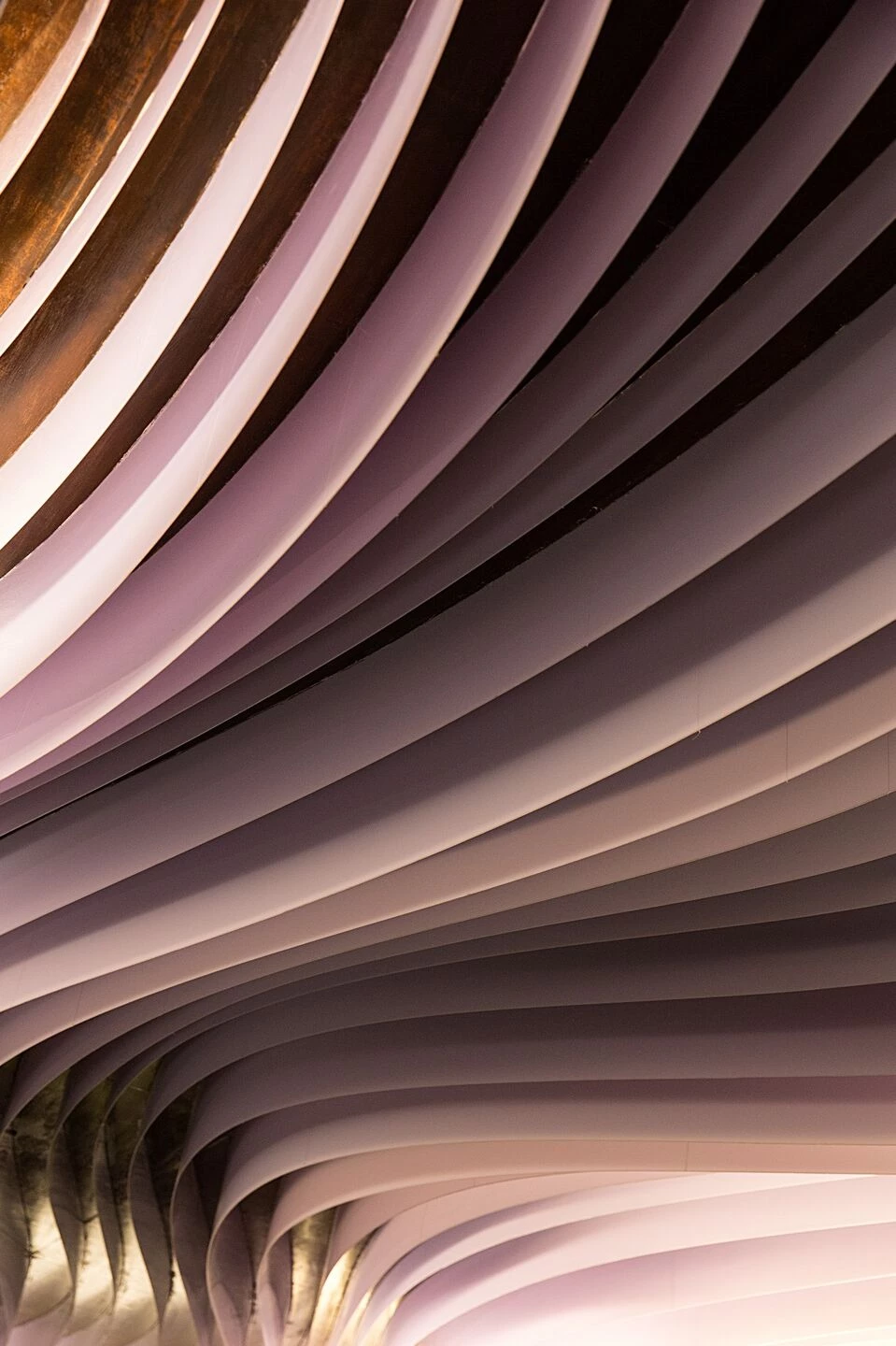 Balaji Silks 展厅丨印度丨studio TAB-14