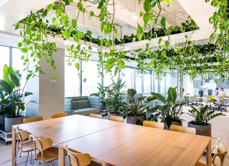 澳洲养老基金ART布里斯班总部丨澳大利亚布里斯班丨Cox Architecture-6