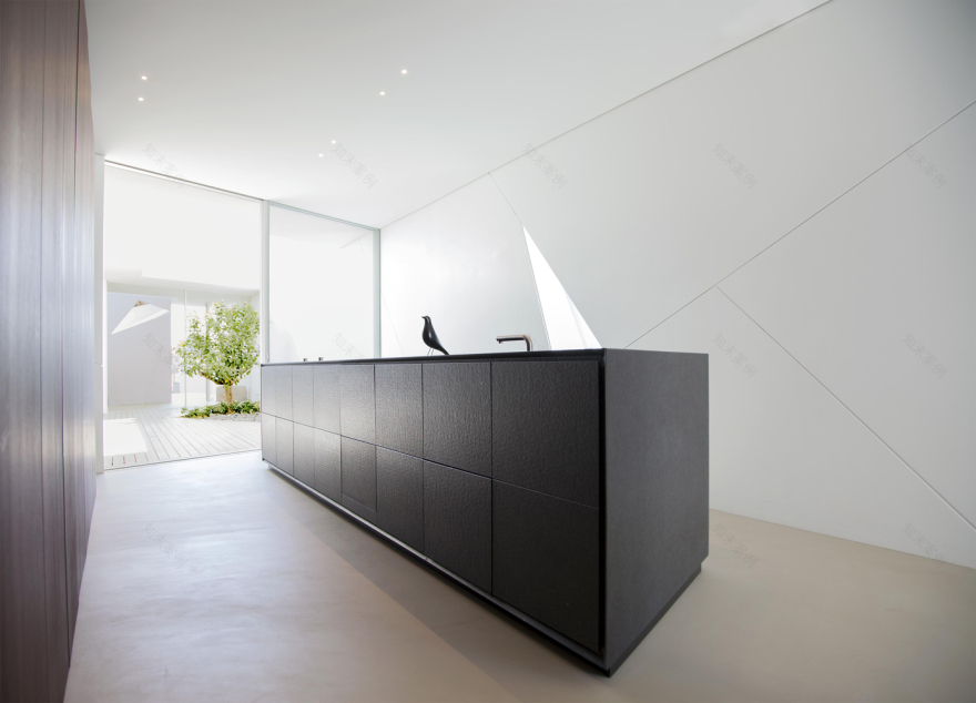 Diamond Tree(钻石树)-15