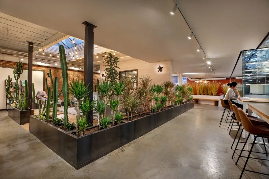 加拿大 GSoft 办公室丨加拿大蒙特利尔丨Linebox Studio inc-29