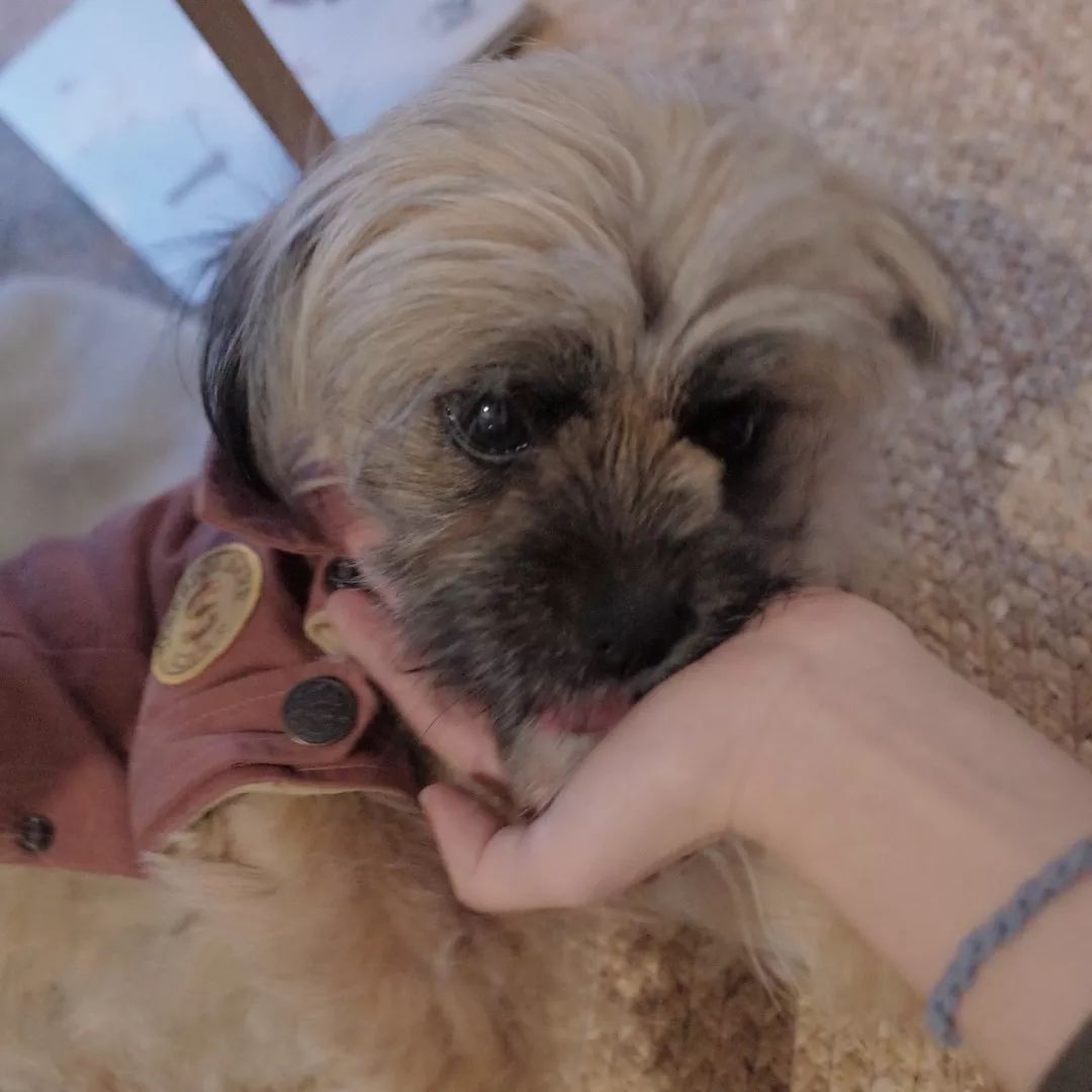 疫情下的设计团队 | 工作方式转变与感悟-33