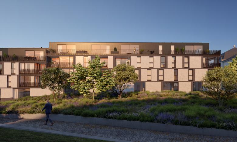 C+S Architects丨Urban regeneration of Panquin丨比利时-21