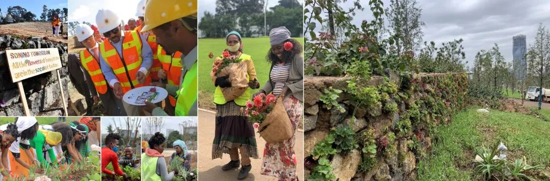 奋进40|埃塞俄比亚谢格尔公园友谊广场景观设计-36