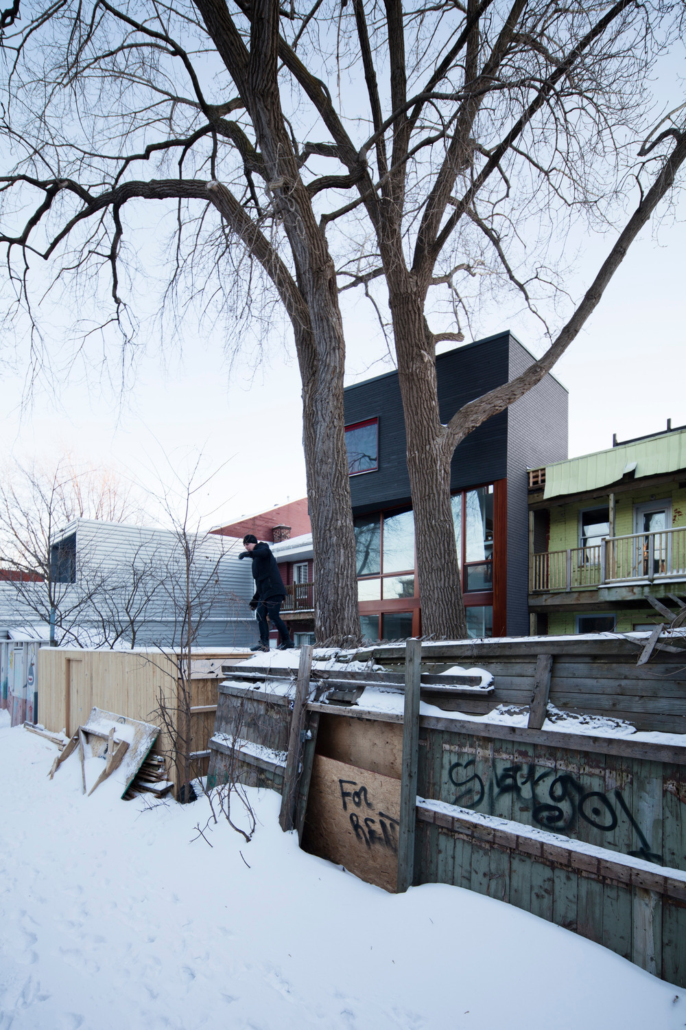 百年老屋与古树的共生对话-7