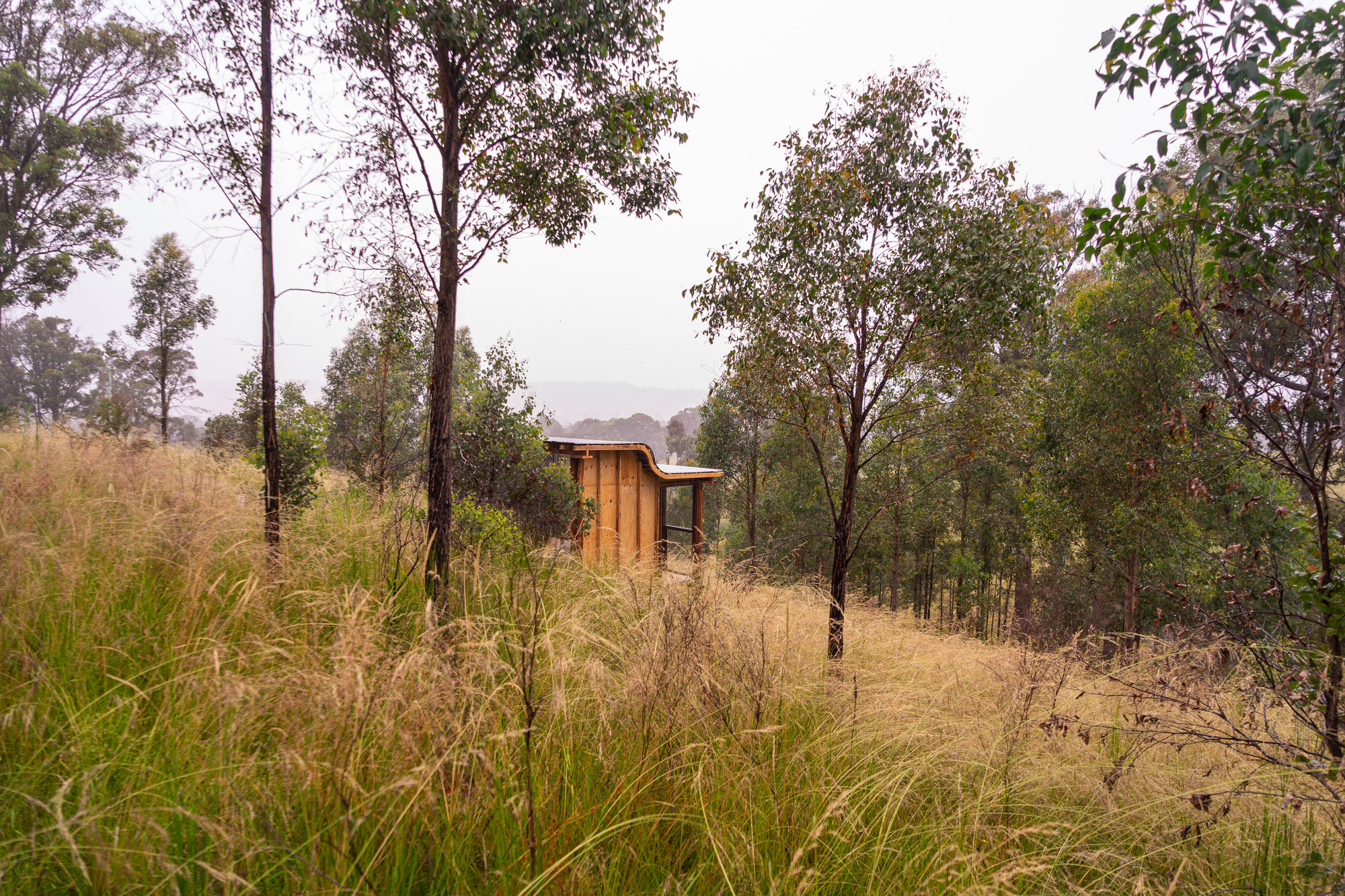 一个观看树木生长的地方丨澳大利亚丨Green Studio-23