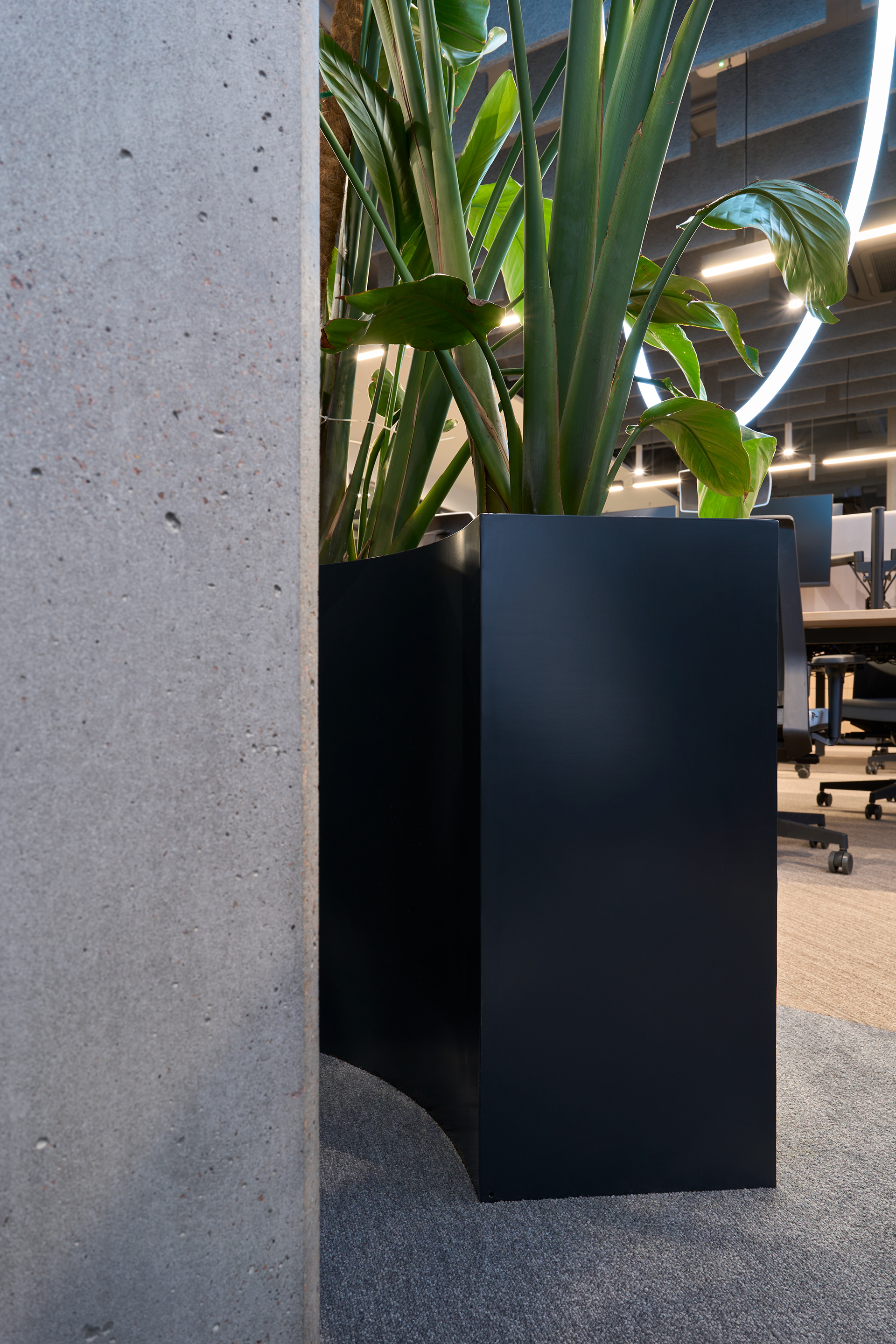 139 特拉办公室丨乌克兰基辅丨Oleksandra Bondarchuk 等-36