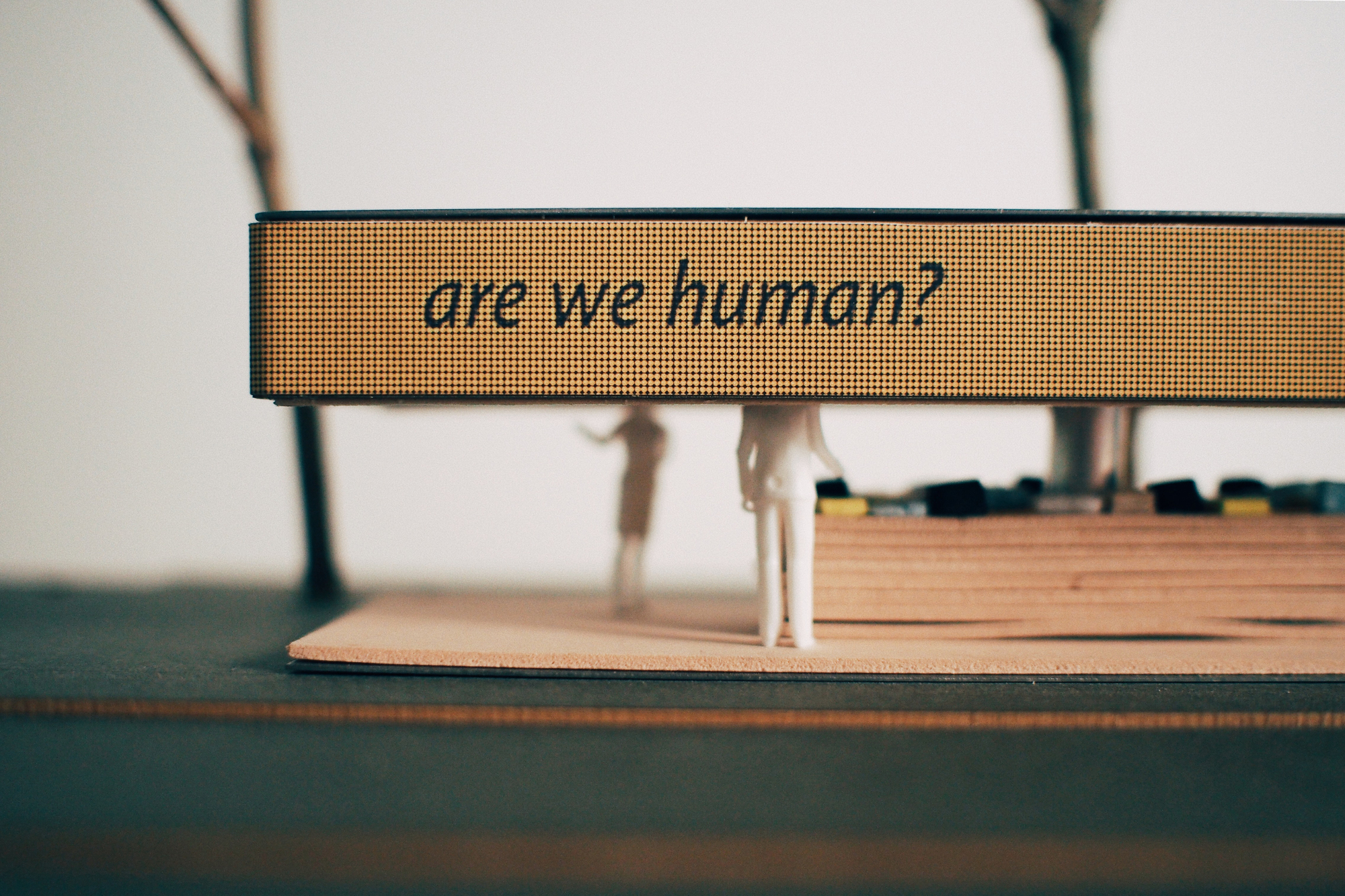 米兰游牧书店-1