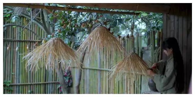 李子柒家居搭配揭秘 | 世外桃源的创意设计-123