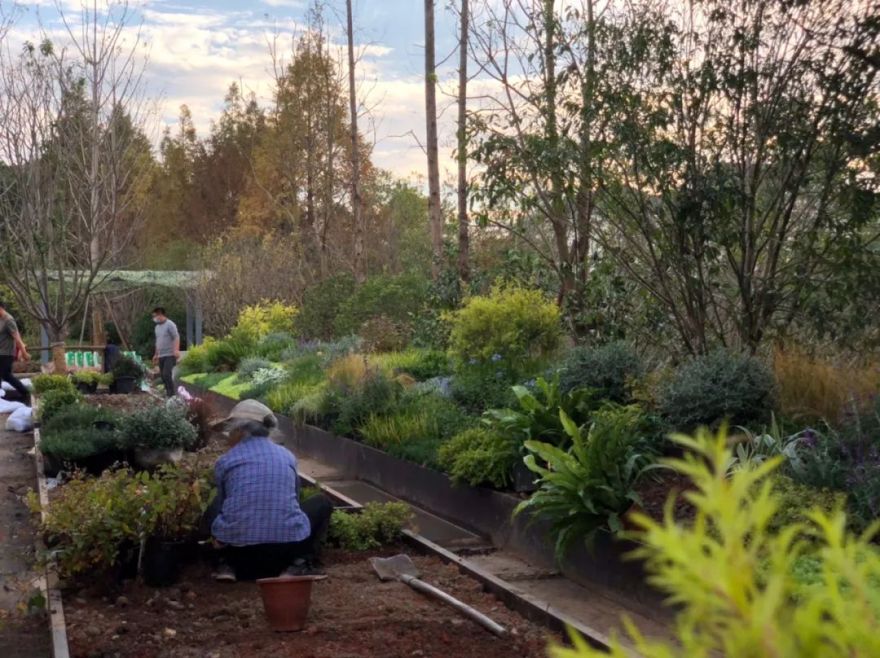 上海都市中的家族庄园 · 依水庄园丨中国上海丨瀚世国际设计-41