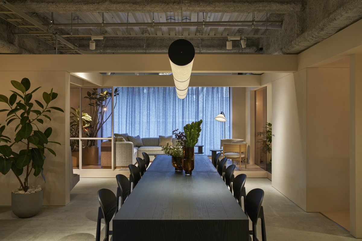 Morght 办公室丨moss.-10