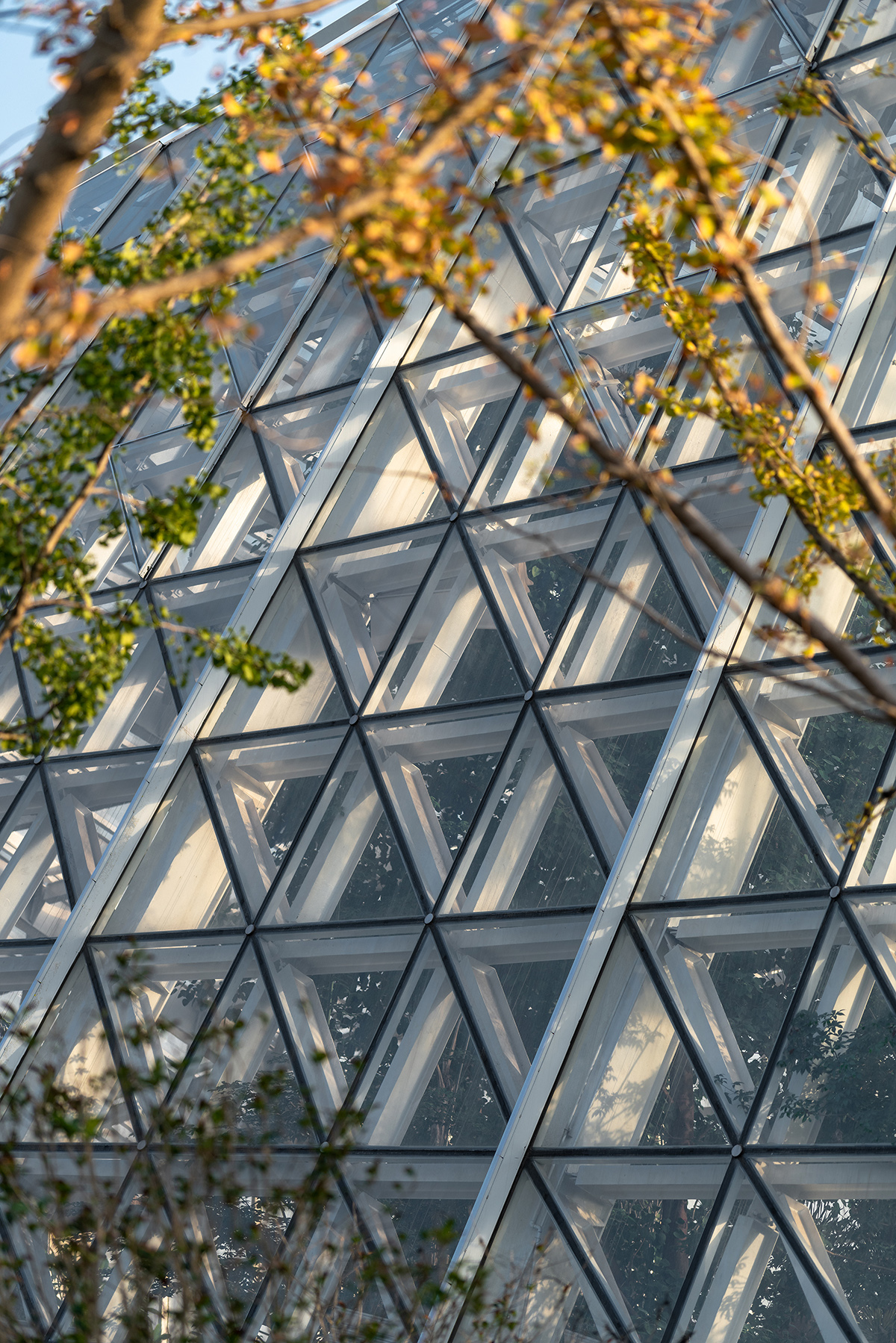 南通植物园温室丨中国南通丨简和建筑-27