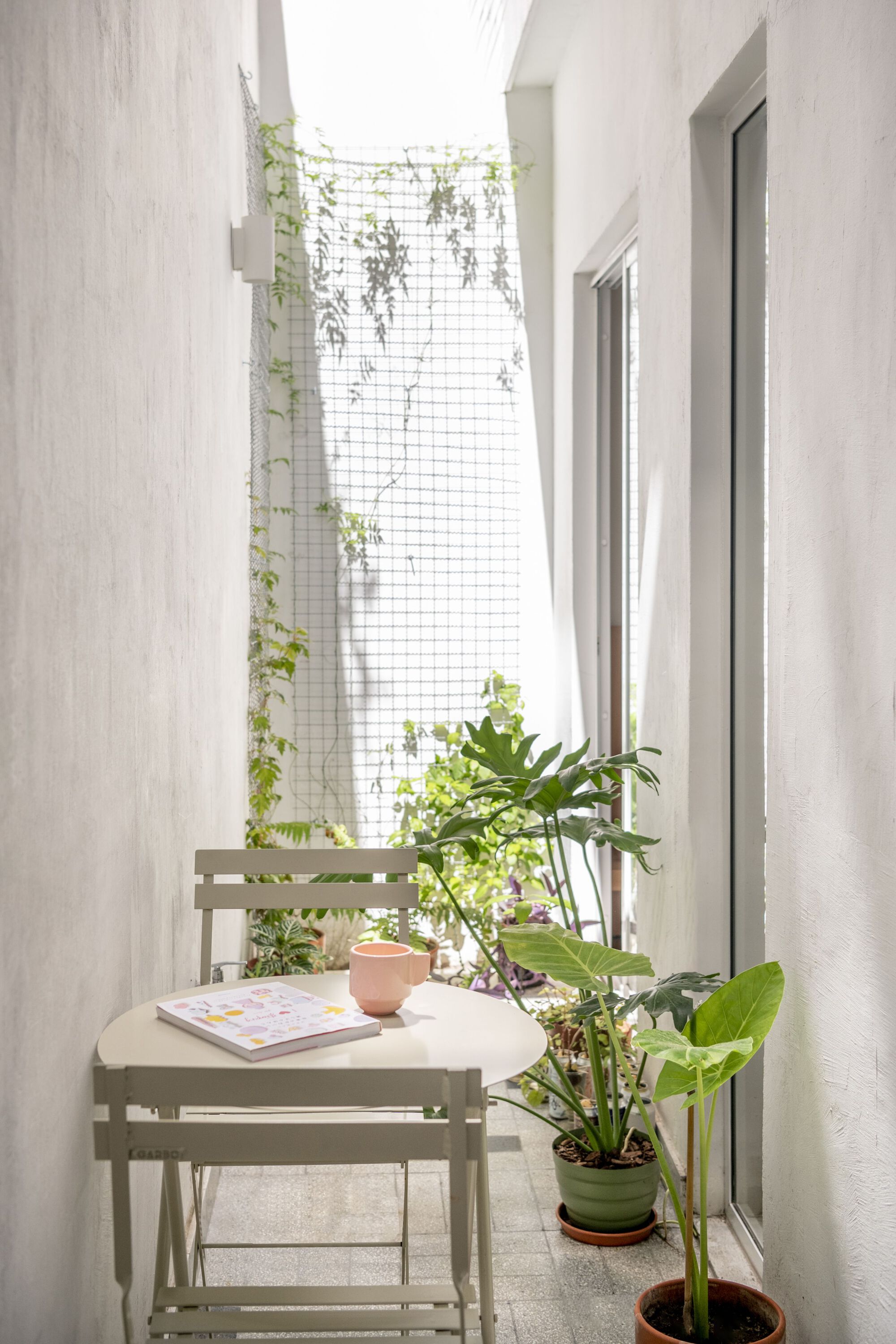 Ph Japón 住宅丨阿根廷布宜诺斯艾利斯丨CDC ARQ-20