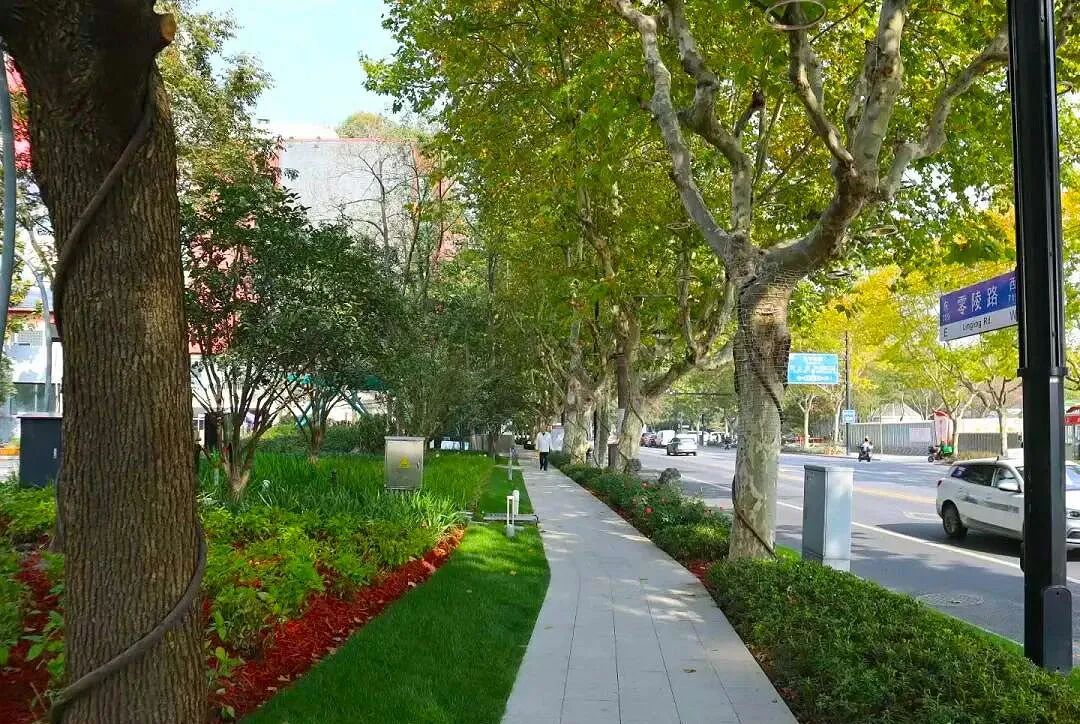 打造高品质有温度的体育街区|上海徐家汇体育公园周边“美丽街区”道路景观提升工程-29