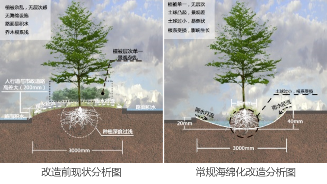 深圳市光明区海绵城市试点区域海绵化改造工程丨中国深圳-21