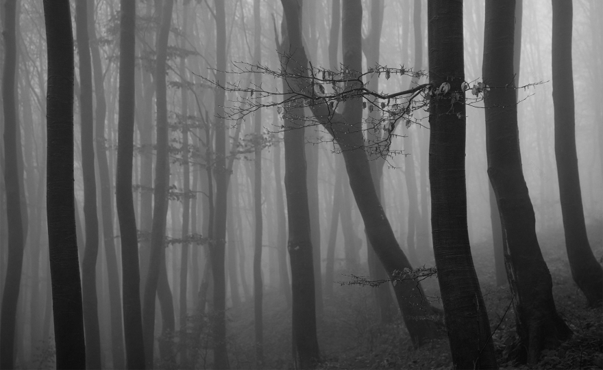 贵阳华润悦府新婚夫妇理想居所-1