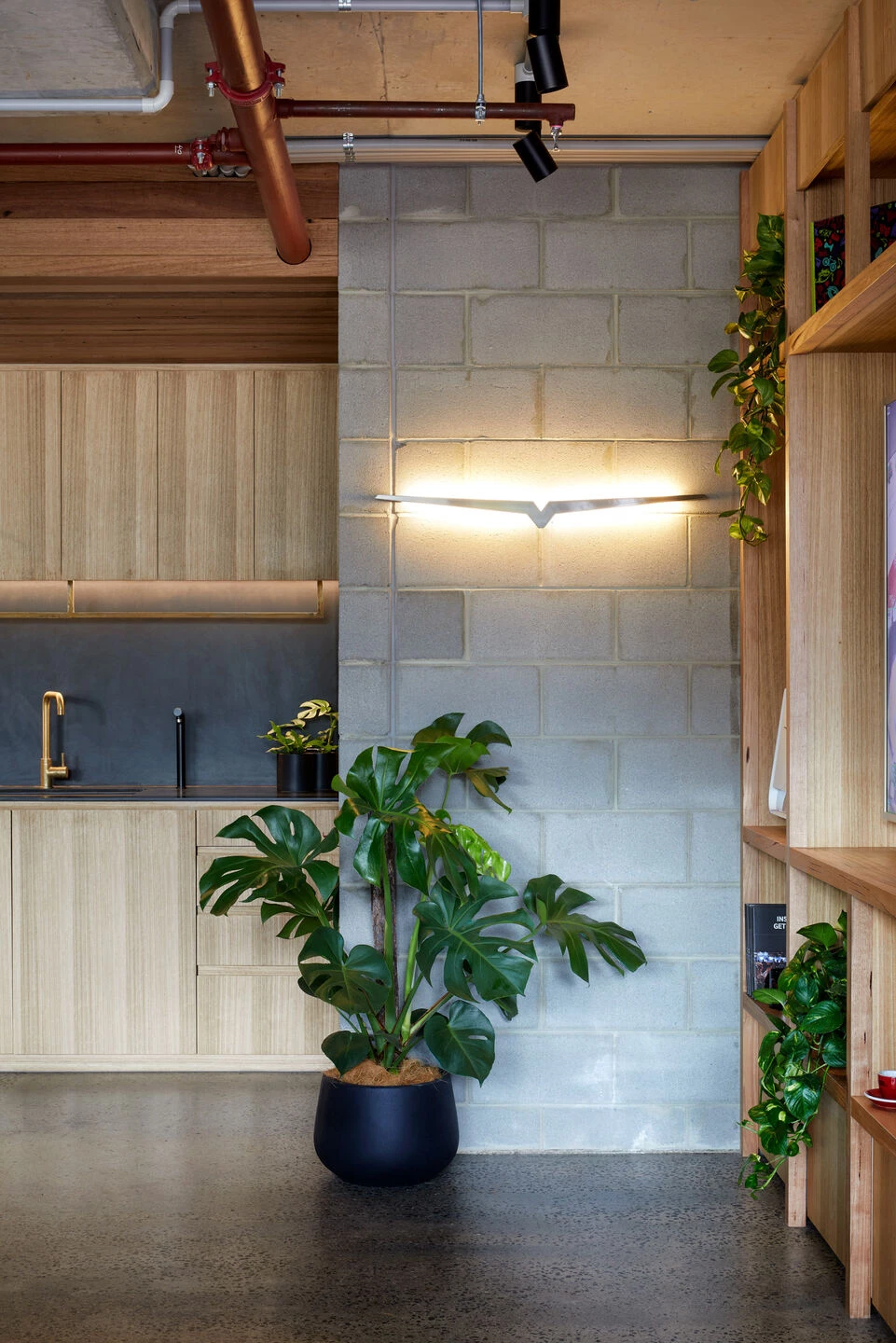 维多利亚·阿图诺体验实验室丨澳大利亚墨尔本丨Native Design Workshop-15