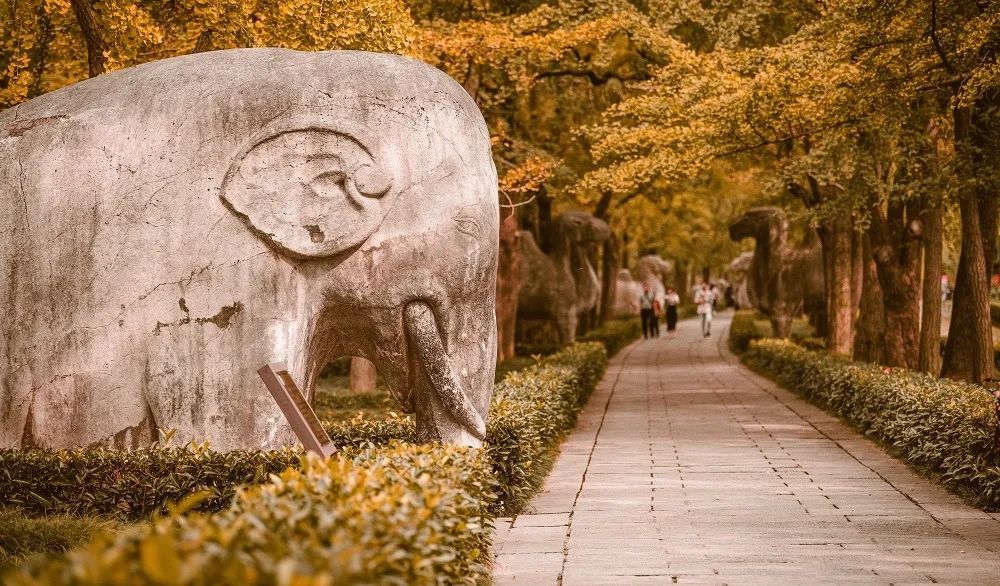 南京东方珍珠voco酒店丨中国南京丨洲际酒店集团-7