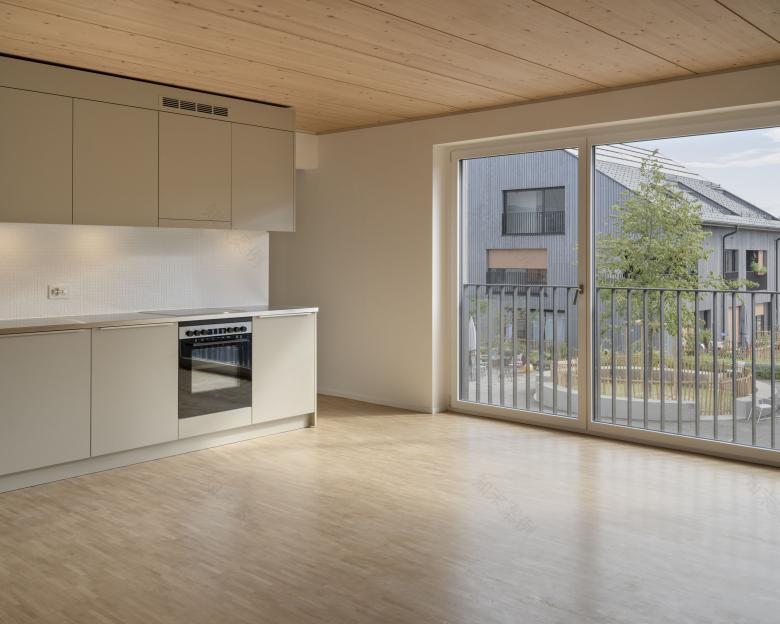 PONT12 architectes sa丨Ecoquartier丨瑞士-0