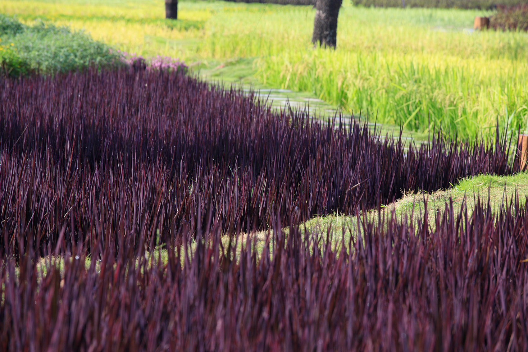 成都新希望种子乐园丨蓝海景观-85