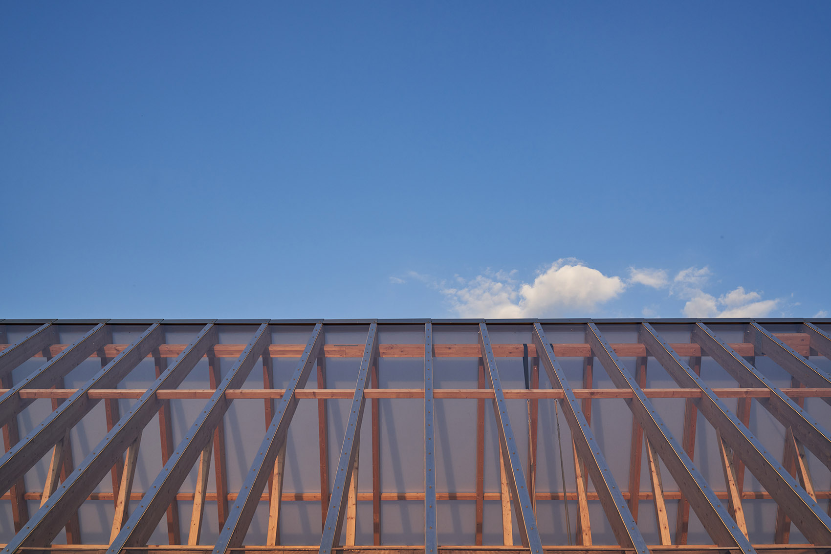 有玻璃温室的住宅丨德国柏林丨Sigurd Larsen-80