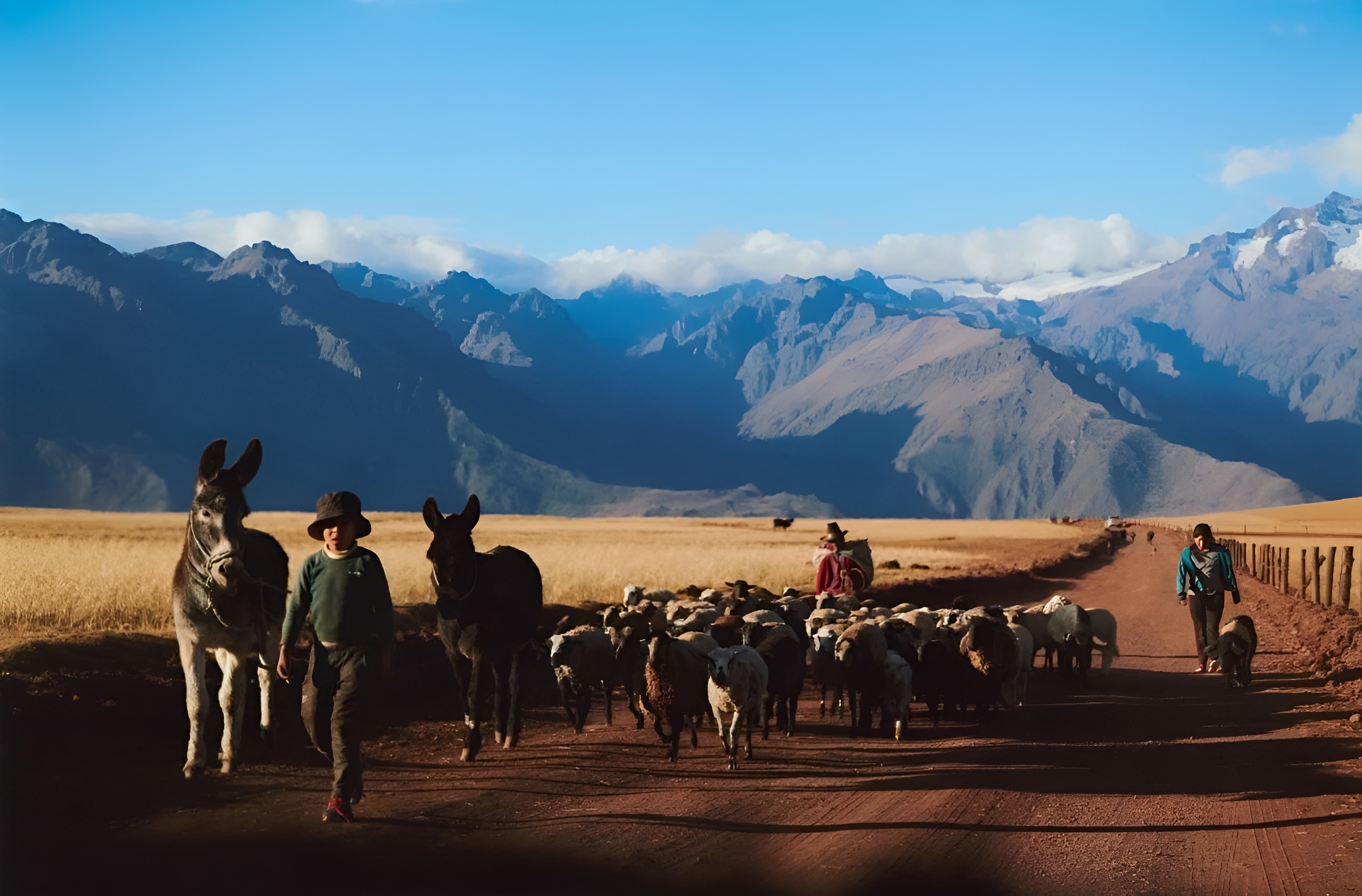 MIL 餐厅丨秘鲁库斯科丨Estudio Soroche 设计工作室-3