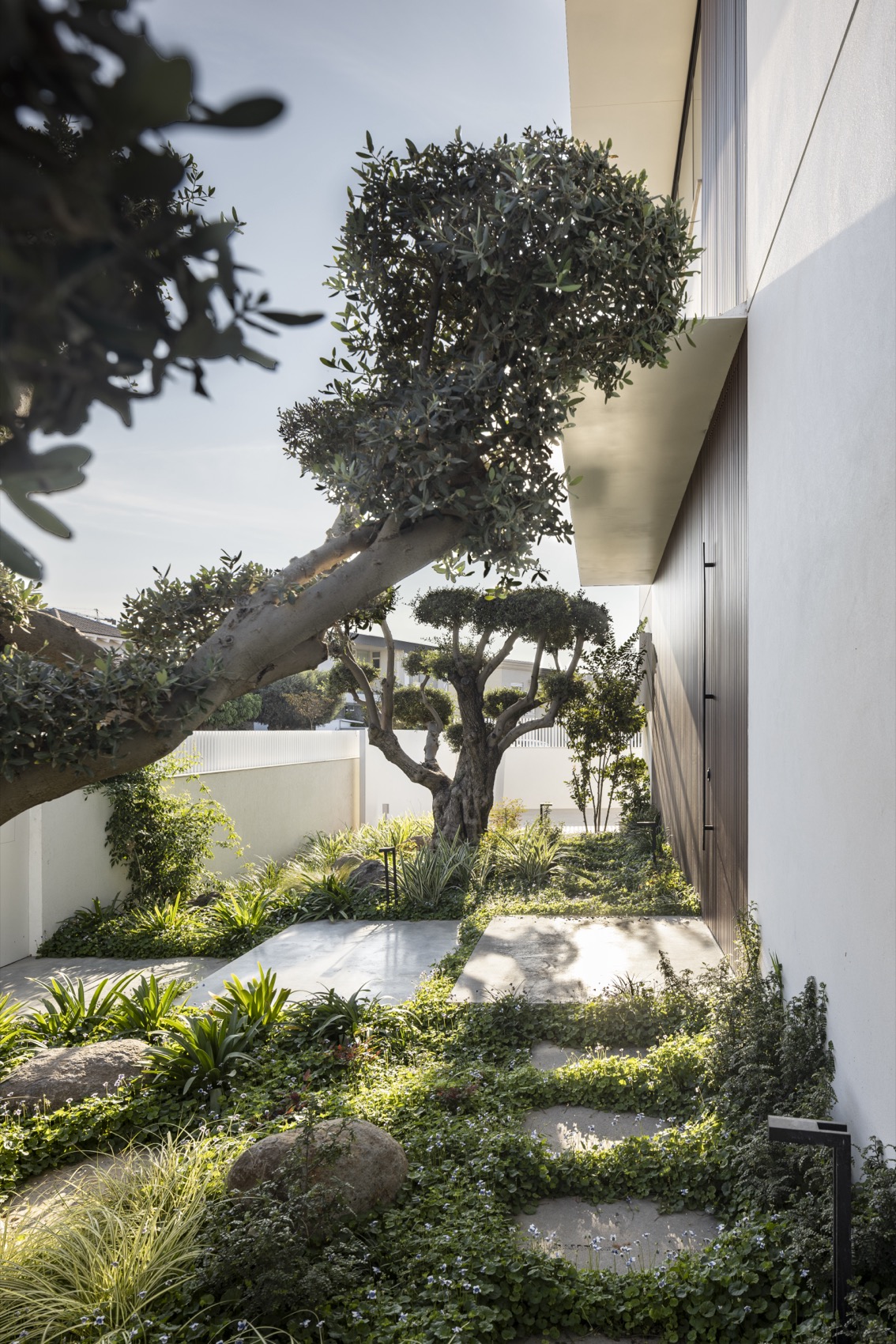 E30住宅丨以色列丨Raz Melamed Architect-9